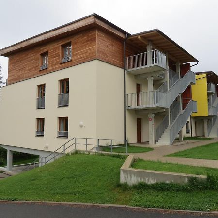 Family Apartment Lipno Lake Lipno nad Vltavou Bagian luar foto